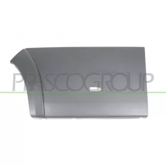 Baguette et bande protectrice, porte arrière gauche PRASCO FT9301466