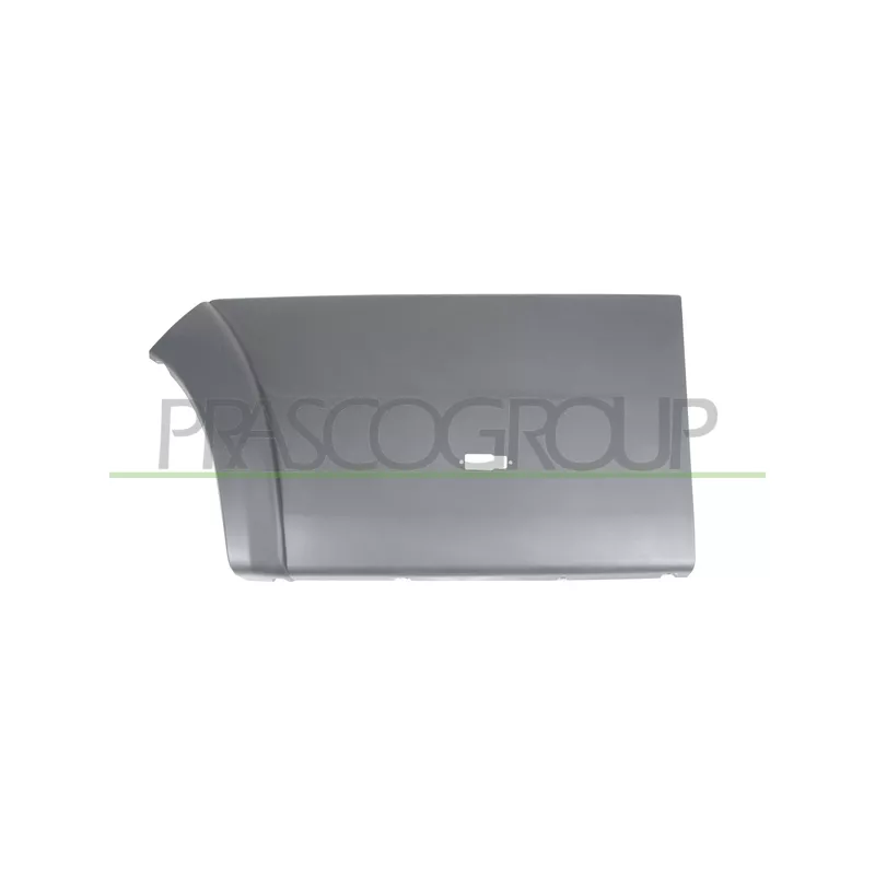 Baguette et bande protectrice, porte arrière gauche PRASCO FT9301466