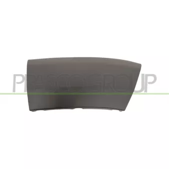 Baguette et bande protectrice, aile avant droit PRASCO FT9301573