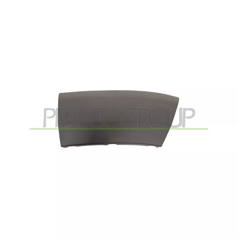 Baguette et bande protectrice, aile avant droit PRASCO FT9301573