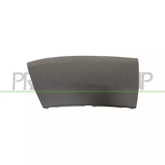Baguette et bande protectrice, aile avant gauche PRASCO FT9301574
