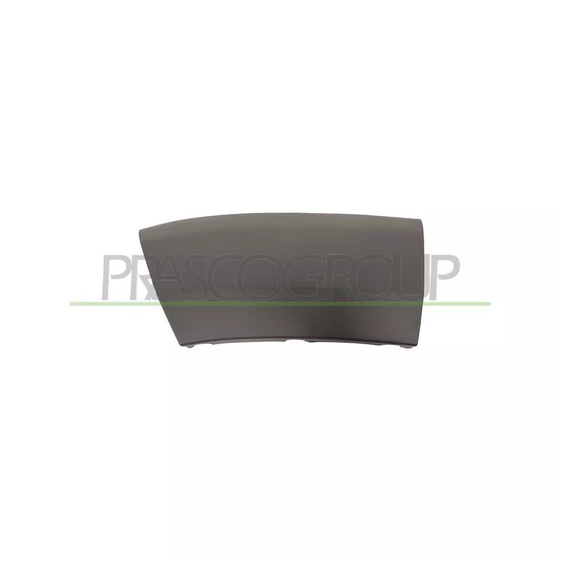 Baguette et bande protectrice, aile avant gauche PRASCO FT9301574