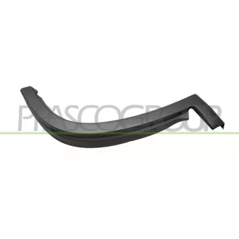 Baguette et bande protectrice, aile avant droit PRASCO FT9301581