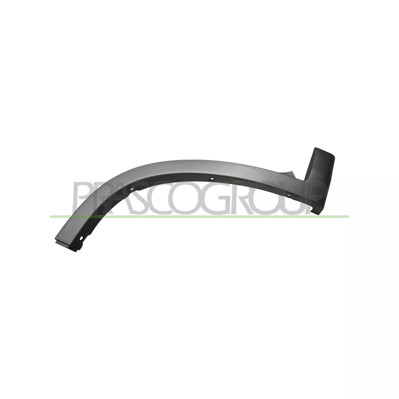 Baguette et bande protectrice, aile avant gauche PRASCO FT9301582