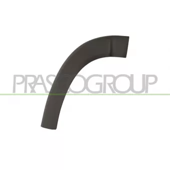 Baguette et bande protectrice, aile avant droit PRASCO FT9301583