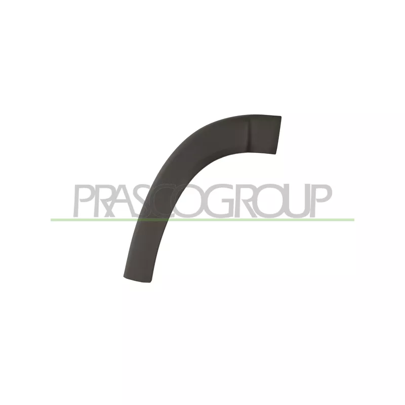 Baguette et bande protectrice, aile avant droit PRASCO FT9301583
