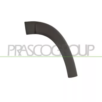 Baguette et bande protectrice, aile avant gauche PRASCO FT9301584