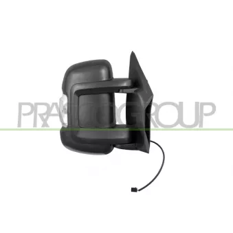 Rétroviseur extérieur PRASCO FT9307006