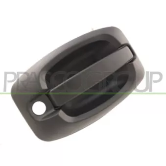 Poignée extérieure de porte PRASCO FT9308301