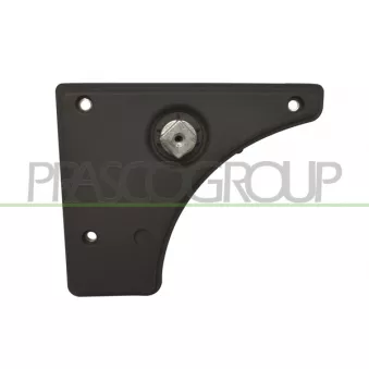 Poignet de porte, équipment intérieur arrière droit PRASCO FT9308311