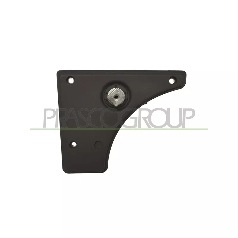 Poignet de porte, équipment intérieur arrière droit PRASCO FT9308311