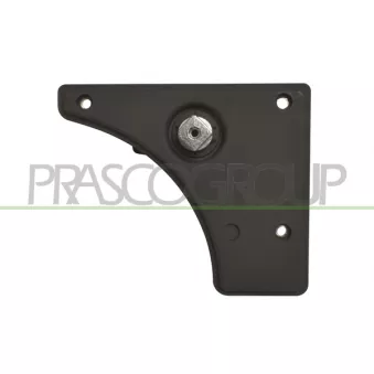 Poignet de porte, équipment intérieur arrière gauche PRASCO FT9308312