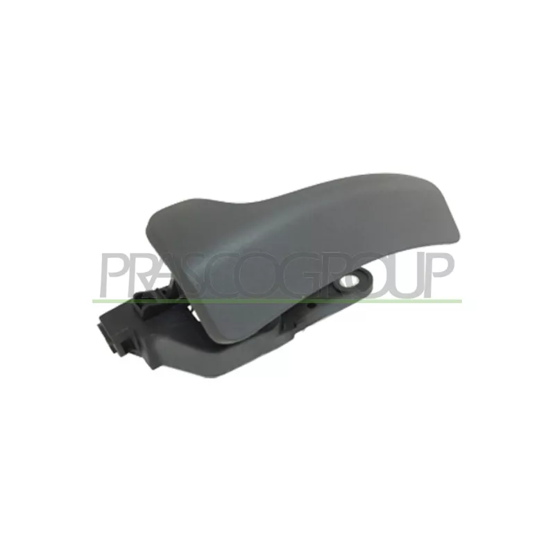 Poignet de porte, équipment intérieur avant droit PRASCO FT9308407