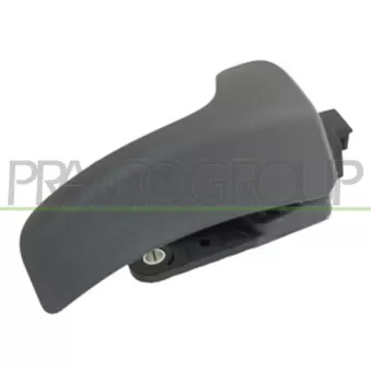 Poignet de porte, équipment intérieur avant gauche PRASCO FT9308408