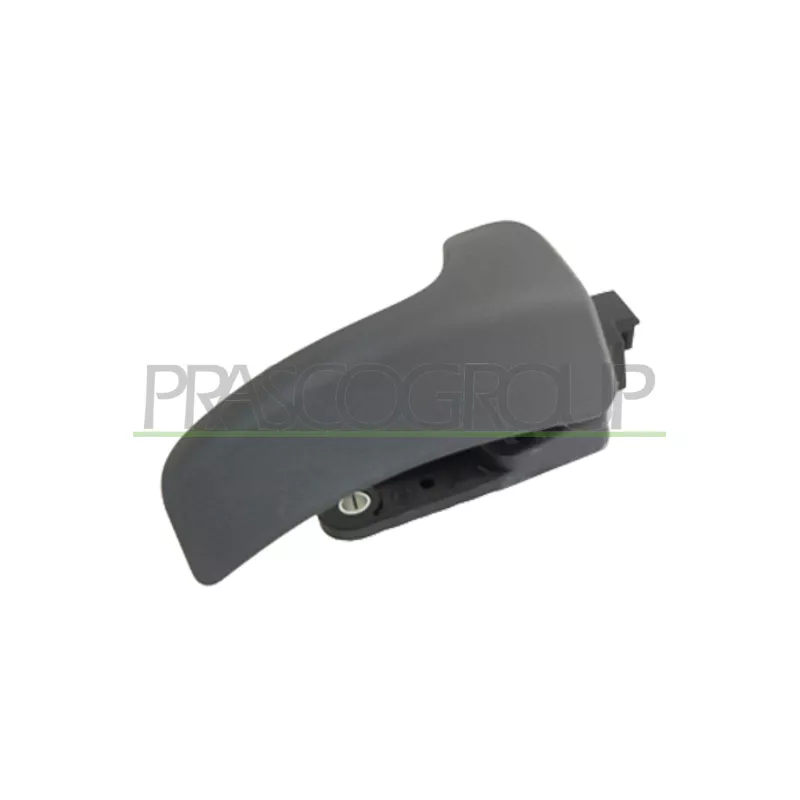 Poignet de porte, équipment intérieur avant gauche PRASCO FT9308408