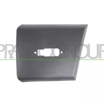 Baguette et bande protectrice, porte avant gauche PRASCO FT9321416