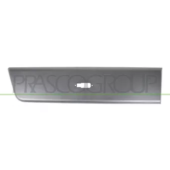 Baguette et bande protectrice, porte arrière droit PRASCO FT9321463