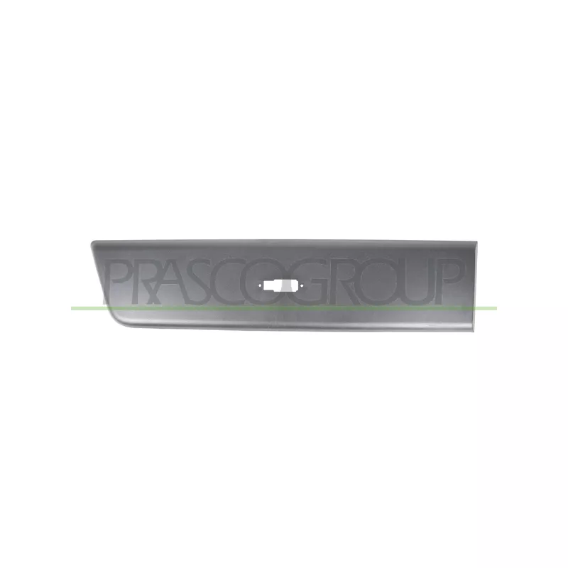 Baguette et bande protectrice, porte arrière droit PRASCO FT9321463