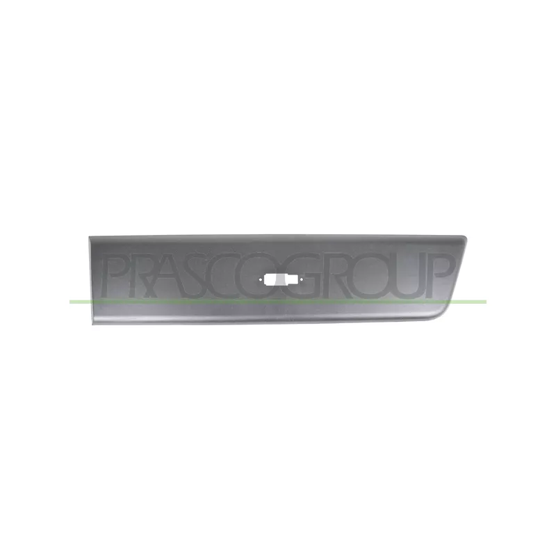 Baguette et bande protectrice, porte arrière gauche PRASCO FT9321464