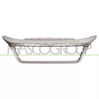 Cadre, grille de radiateur PRASCO FT9322305