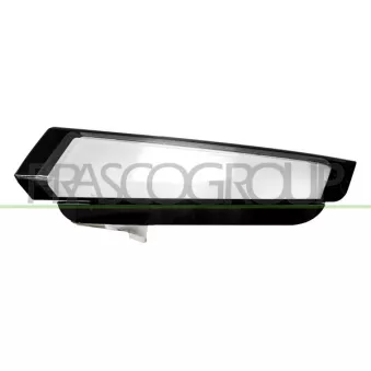 Feu clignotant avant gauche PRASCO FT9504042