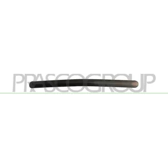 Baguette et bande protectrice, panneau latérale arrière droit PRASCO HD0341253