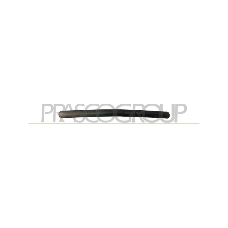 Baguette et bande protectrice, panneau latérale arrière gauche PRASCO HD0341254