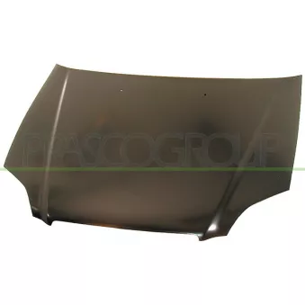 Capot-moteur PRASCO