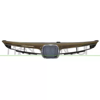 Grille de radiateur PRASCO HD0422001