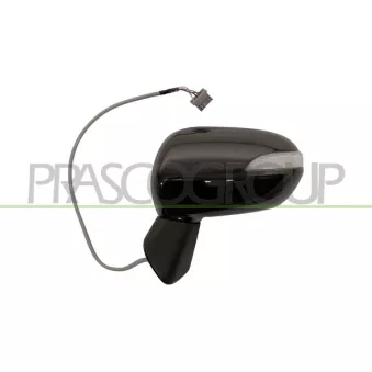 Rétroviseur extérieur PRASCO HD3227114