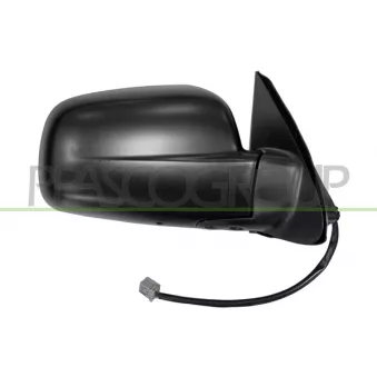 Rétroviseur extérieur PRASCO HD8247313