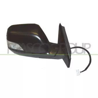 Rétroviseur extérieur PRASCO HD8287313