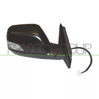 Rétroviseur extérieur PRASCO HD8287343