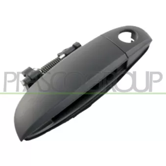 Poignée extérieure de porte avant gauche PRASCO HN0028004