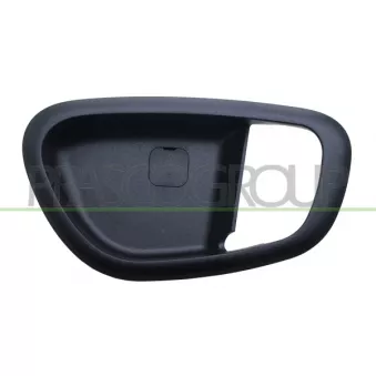 Poignet de porte, équipment intérieur avant droit PRASCO HN0028701