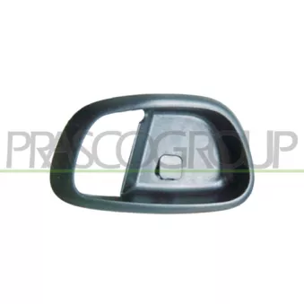 Poignet de porte, équipment intérieur avant gauche PRASCO HN0028702