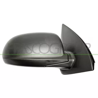 Rétroviseur extérieur PRASCO HN0037113P