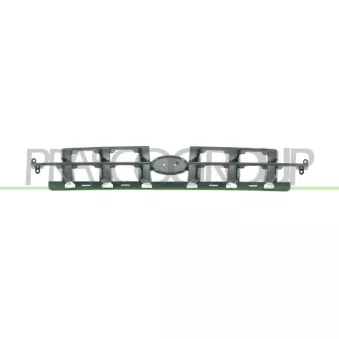 Grille de radiateur PRASCO HN0162011