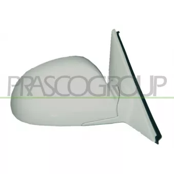 Rétroviseur extérieur PRASCO HN0187313