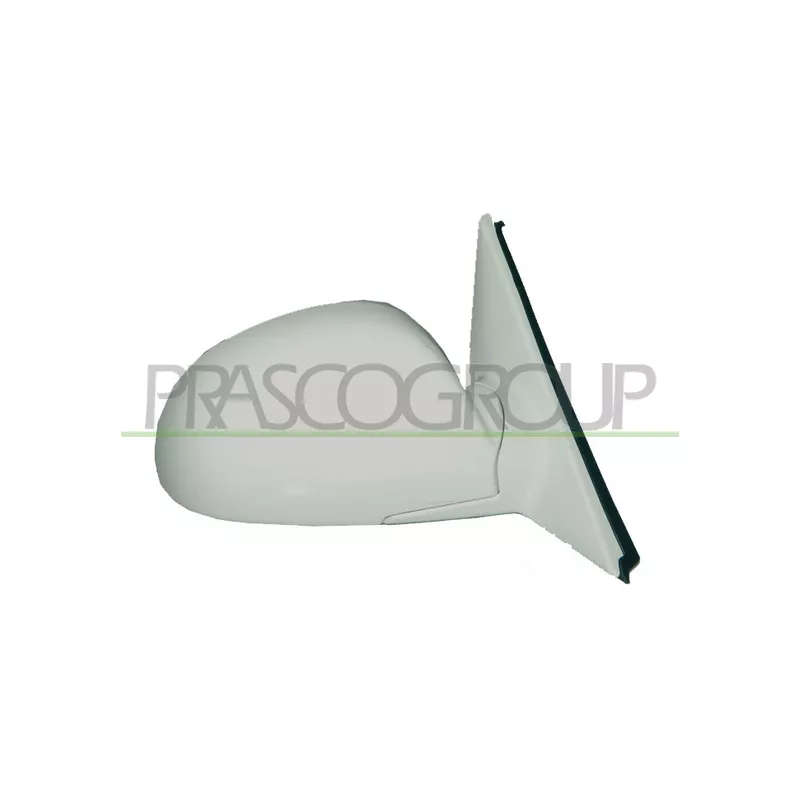 Rétroviseur extérieur PRASCO HN0187313