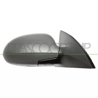 Rétroviseur extérieur PRASCO HN0407123P