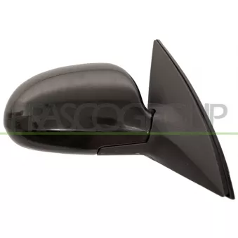 Rétroviseur extérieur PRASCO HN0407303