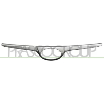 Grille de radiateur PRASCO HN2002011OE