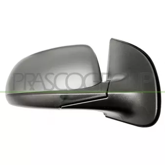 Rétroviseur extérieur PRASCO HN2007303P