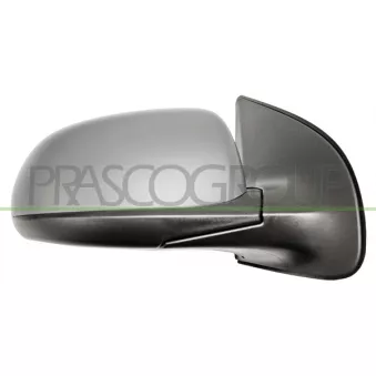Rétroviseur extérieur PRASCO HN2007333P