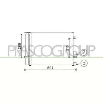 Condenseur, climatisation PRASCO HN200C001