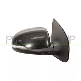 Rétroviseur extérieur PRASCO HN2027303