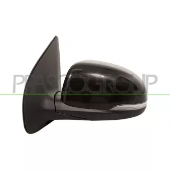 Rétroviseur extérieur PRASCO HN2027324