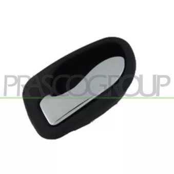 Poignet de porte, équipment intérieur avant gauche PRASCO HN3208406