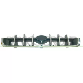 Grille de radiateur PRASCO